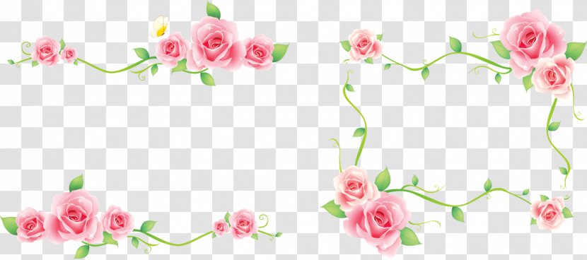 Floral Design Clip Art - Floristry - Lace Boarder Transparent PNG