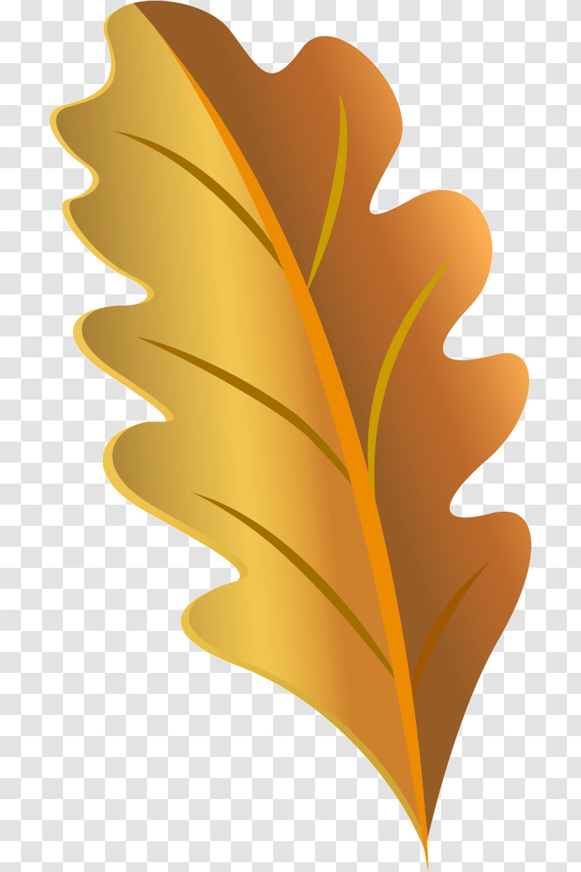 Leaf Font M-tree Petal Meter Transparent PNG