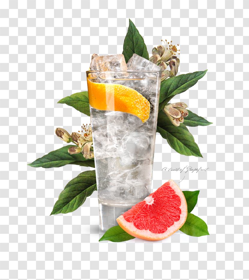 Cocktail Garnish Gin And Tonic Portobello Road - Grapefruit - Glass Of Water Transparent PNG