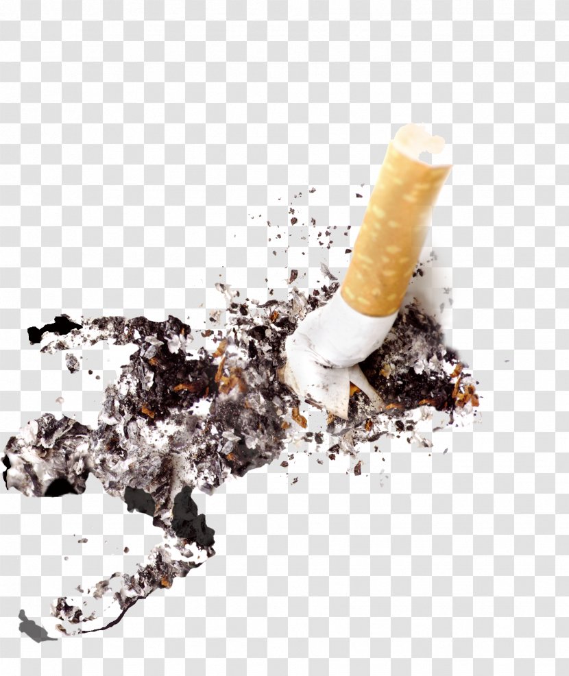 Cigarette Smoking Ban - Silhouette - Ash Material Picture Transparent PNG