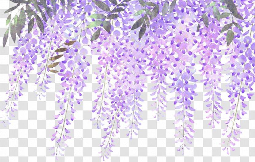 Flower Floral Design Lilac Lavender - Bouquet Transparent PNG
