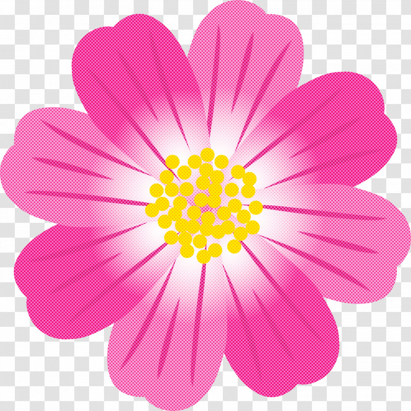 Petal Pink Flower Plant Cosmos Transparent PNG