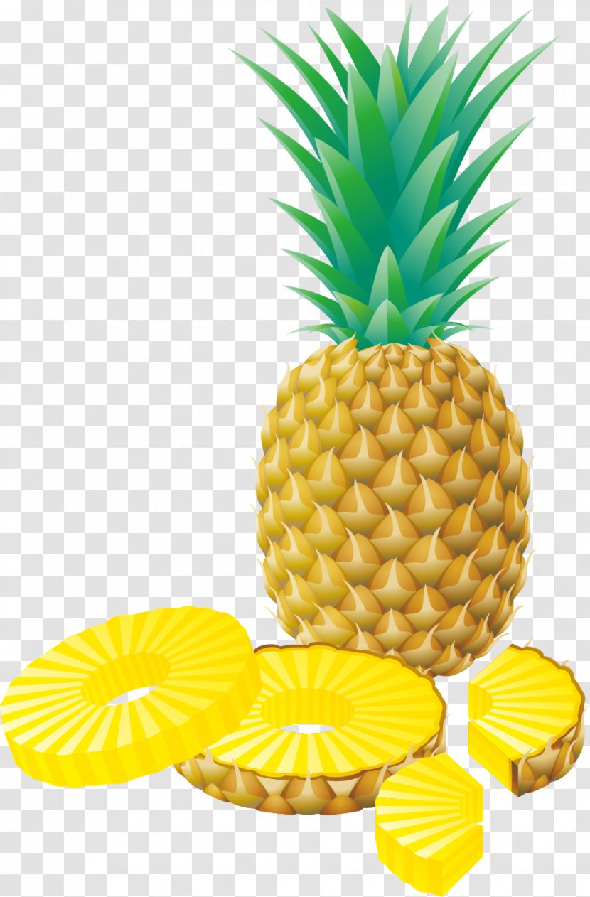 Pineapple - Fruit - Vector Material Transparent PNG