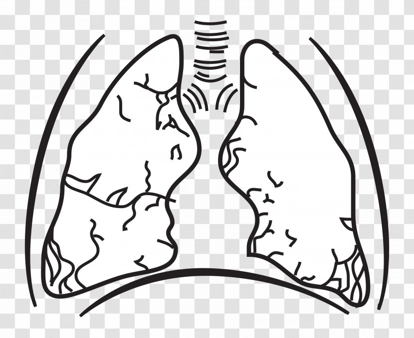 Great Hungarian Plain Lung Breathing - Silhouette - Lungs Transparent PNG