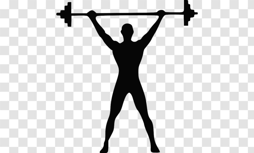 Olympic Weightlifting Barbell Weight Training Dumbbell - Balance Transparent PNG
