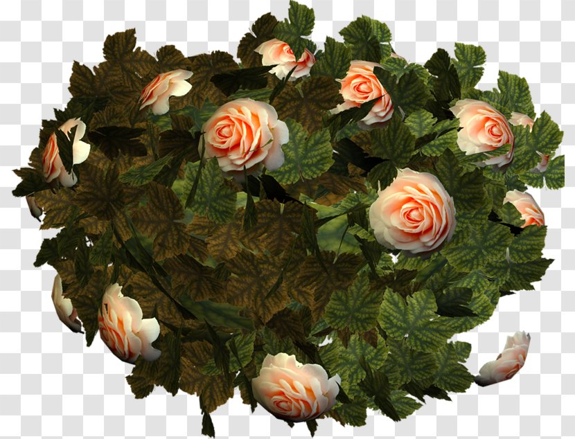 Garden Roses Cut Flowers Flower Bouquet Transparent PNG