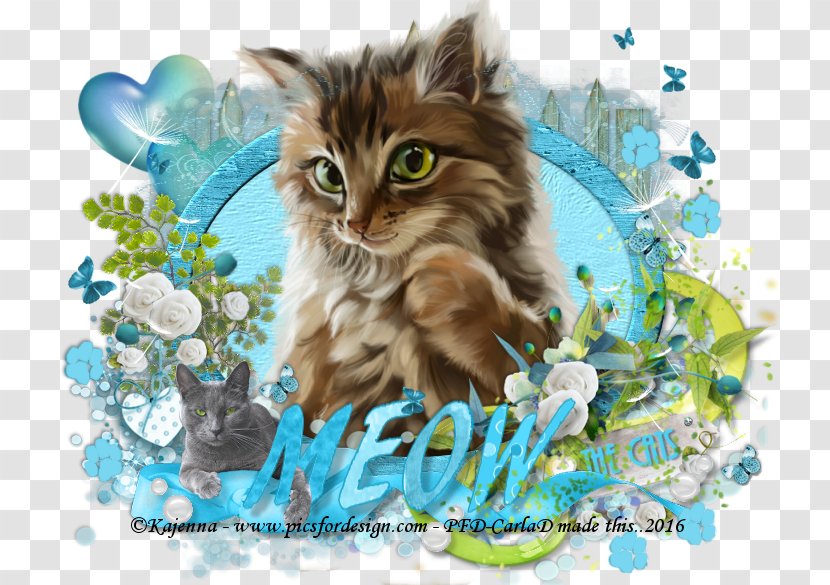 Maine Coon Whiskers Norwegian Forest Cat Domestic Short-haired Wildcat - Shorthaired - Grapics Transparent PNG
