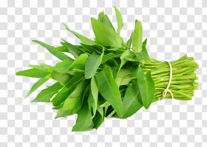Green Papaya Salad Saag Water Spinach Leaf Vegetable - Garlic Transparent PNG