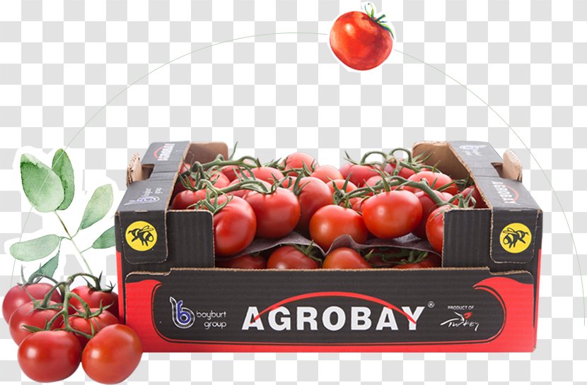 Bush Tomato Agrobay Satış Mağazası - Whole Food - Domates Evi Natural FoodsTomato Transparent PNG