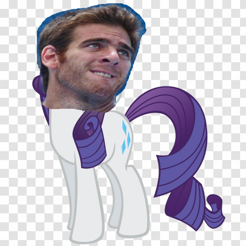 Rarity My Little Pony: Friendship Is Magic Rainbow Dash Derpy Hooves - Equestria - Del Potro Transparent PNG