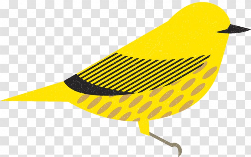 Bird Canada Beak Illustration Graphic Design - Lettering - Yellow Transparent PNG