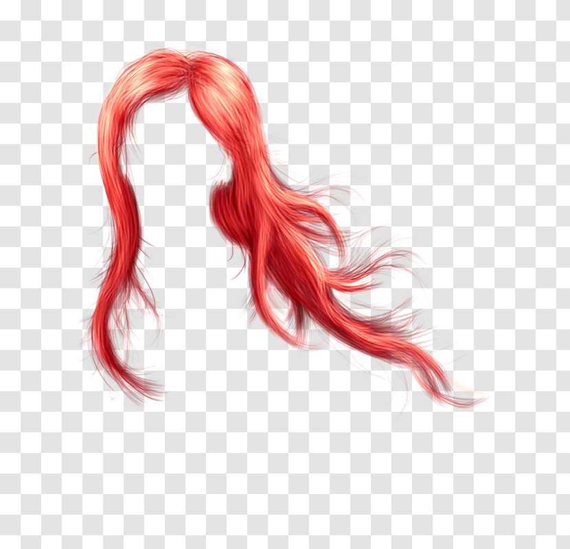 PhotoScape GIMP - Long Hair - Lucas Transparent PNG