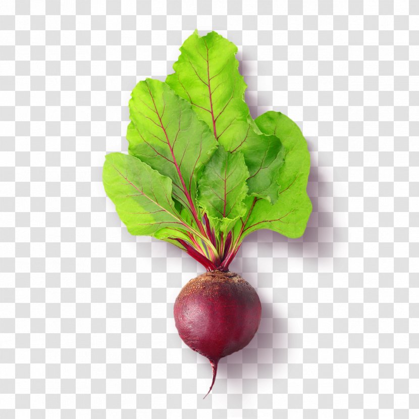 Chard Beetroot Food - Beechers Foundation - Beet Transparent PNG