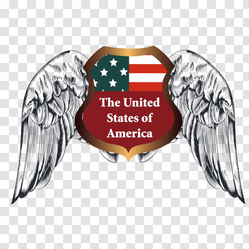 United States Euclidean Vector - Beak - Of The America Transparent PNG