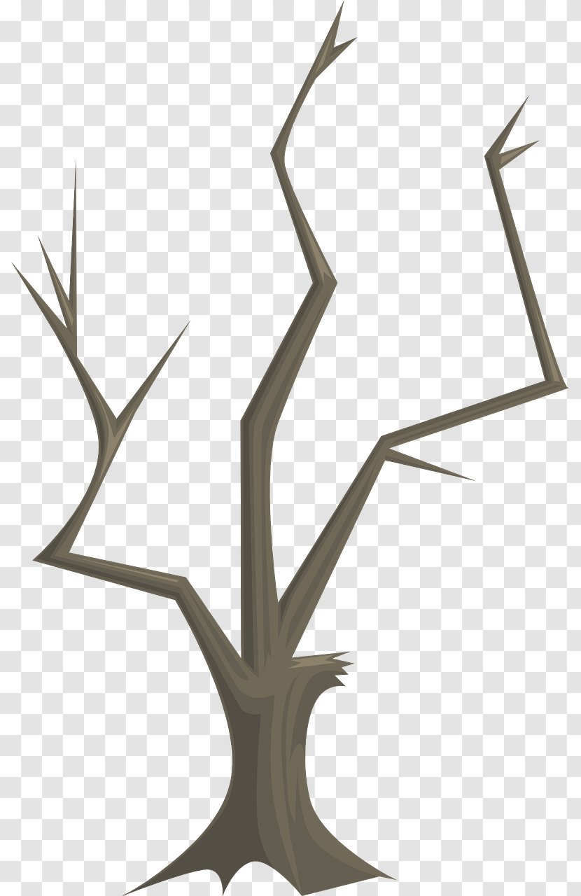 Twig Tree Branch Teradata Quiz Wood Transparent PNG