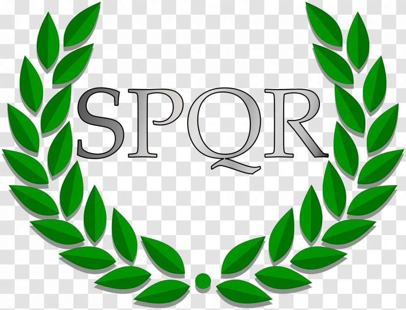 Laurel Wreath Olive Bay Clip Art - Plant - Rome Transparent PNG