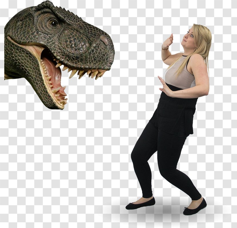 Tyrannosaurus Aggression Zara Emotion Sedgwick Claims Management Services Transparent PNG