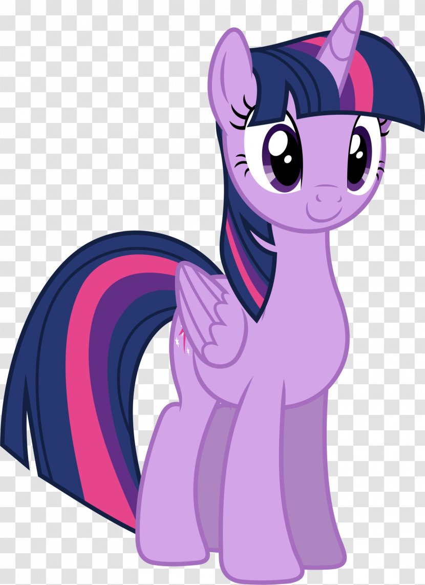 Twilight Sparkle Pony Princess Cadance Rarity Rainbow Dash Transparent PNG