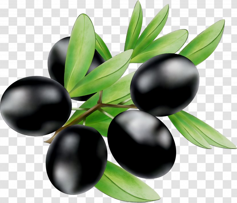 Olive Oil Bilberry Eating - Food Transparent PNG