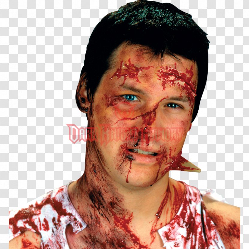 Accident / Crash FX Make Up Kit Costume Prosthetic Makeup Cosmetics Special Effects - Tree - Gory Car Transparent PNG