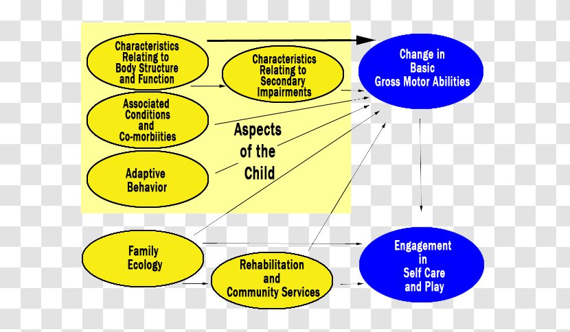 Conceptual Model Diagram Child Framework - Concept Transparent PNG