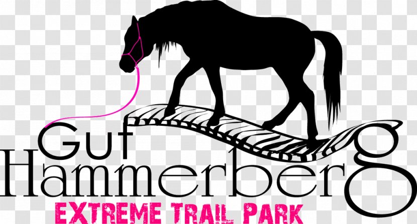 Extreme Trail Park Gut Hammerberg Reithalle Bösenburg Pony Of The Americas - Organism Transparent PNG