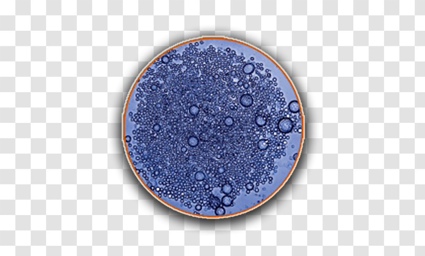Cobalt Blue Circle Transparent PNG