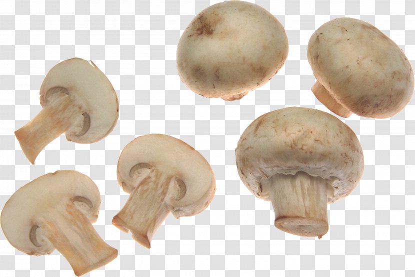 Common Mushroom Fungus Food Poisoning - Edible - White Mushrooms Image Transparent PNG