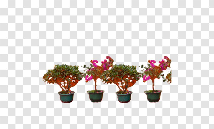 Flower - Flowerpot - Vase Transparent PNG