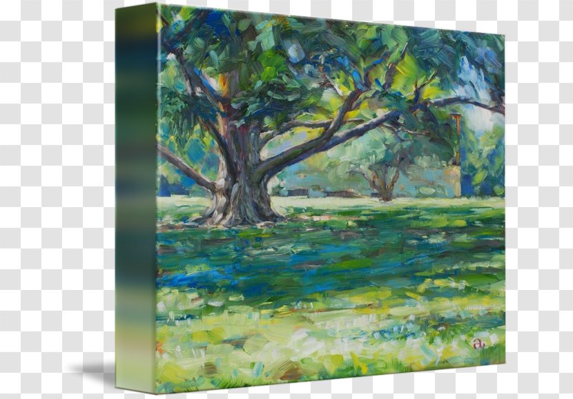 Watercolor Painting Gallery Wrap Acrylic Paint - Bayou Transparent PNG