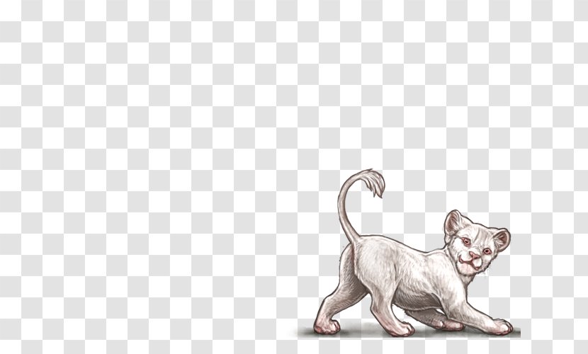 Kitten Cat Lion Albinism Puppy Transparent PNG