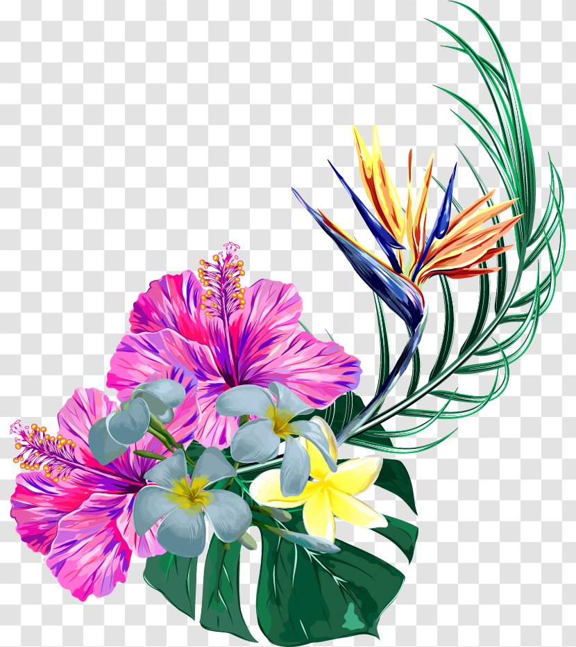 Floral Design Toucan Bird Plants - Flowering Plant Transparent PNG