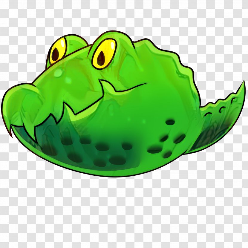 Turtle Cartoon - True Frog - Mouth Green Transparent PNG