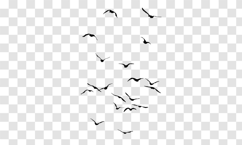 Bird Owl Drawing Flight Flock - Migration Transparent PNG