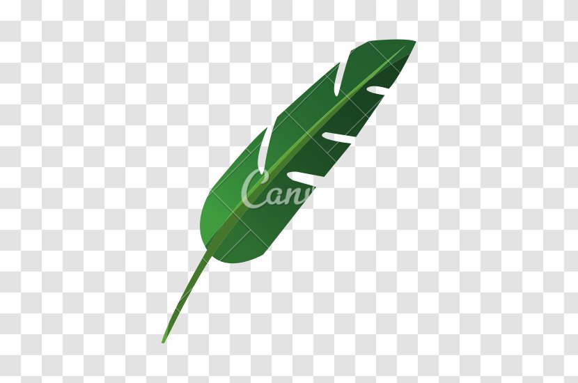 Leaf Plant - Tropical Transparent PNG