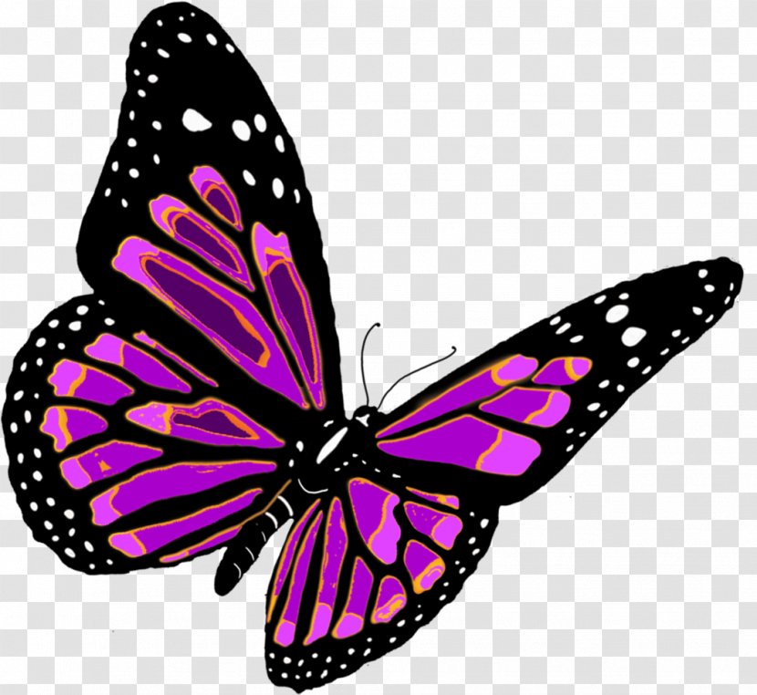 Butterfly Clip Art - Brush Footed - Pink Transparent PNG