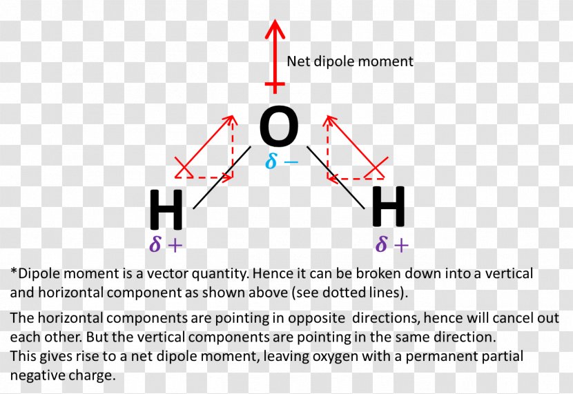 Chemical Polarity Bond Dipole Moment Water Molecule - Ozone Transparent PNG