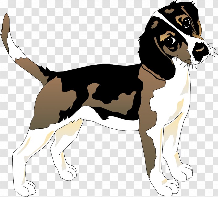 Beagle Basset Hound Siberian Husky Puppy - Harrier - Loyal Transparent PNG