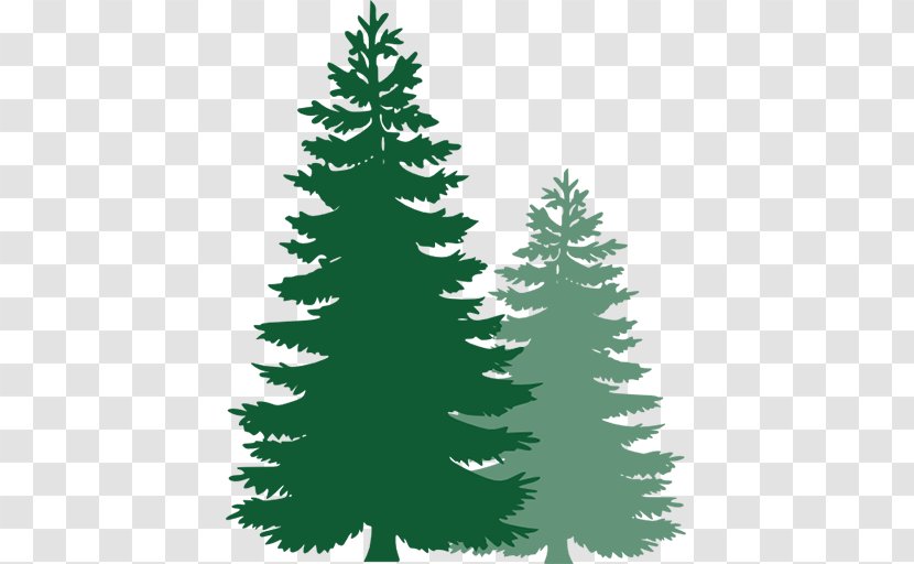 Clip Art Pine Openclipart Tree Image - Conifer - Wood Fiber Transparent PNG