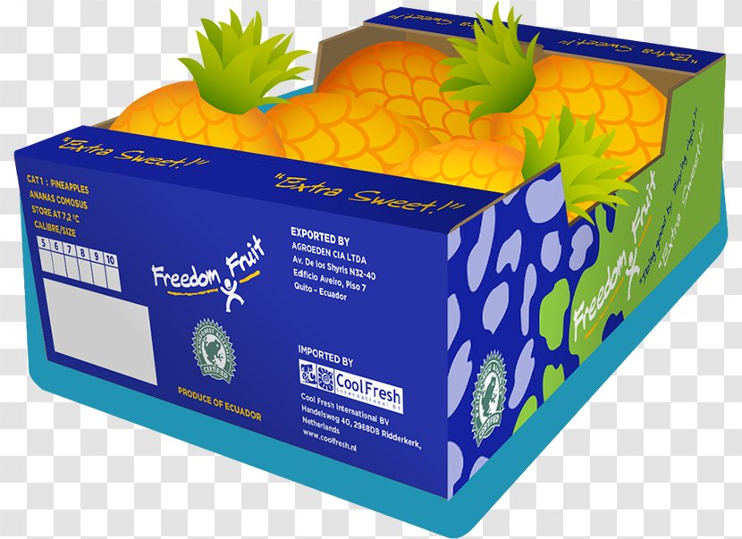 Fruit Netherlands Pineapple - Fresh And Cool Transparent PNG