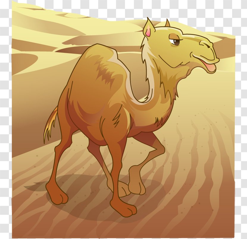 Dromedary Bactrian Camel Desert Clip Art - Vector Painted Transparent PNG