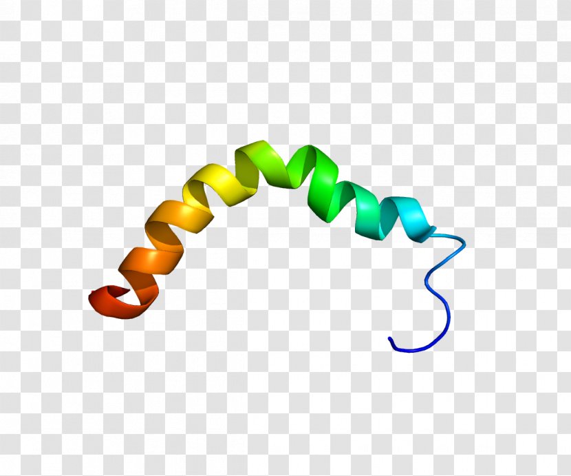 Urocortin II Urotensin-II Corticotropin-releasing Factor Family Hormone - Protein - Gene Transparent PNG