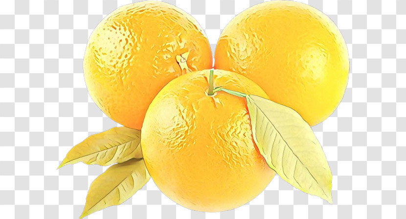 Yellow Fruit Lemon Citrus Meyer Lemon Transparent PNG
