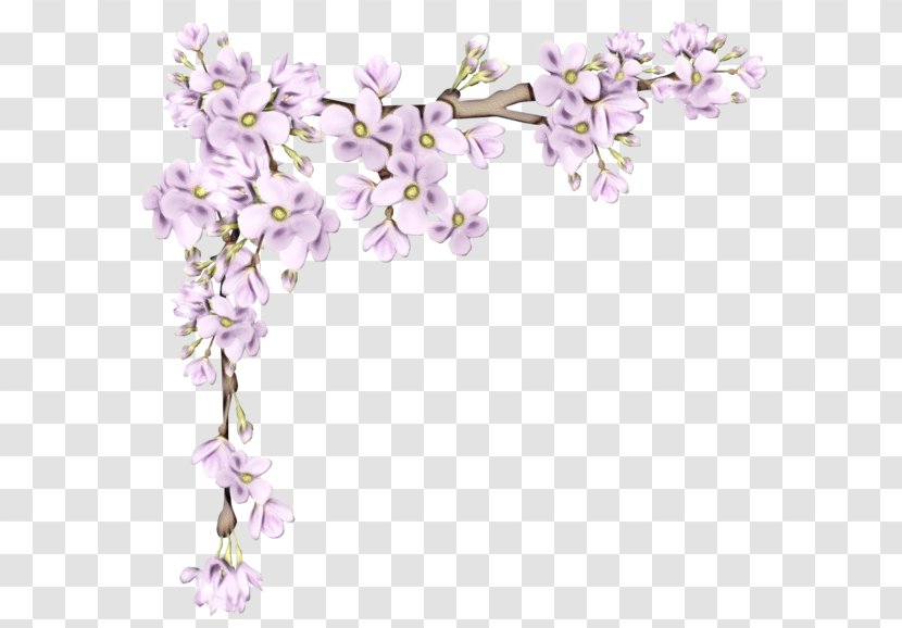 Background Blue Frame - Violet - Pedicel Blossom Transparent PNG