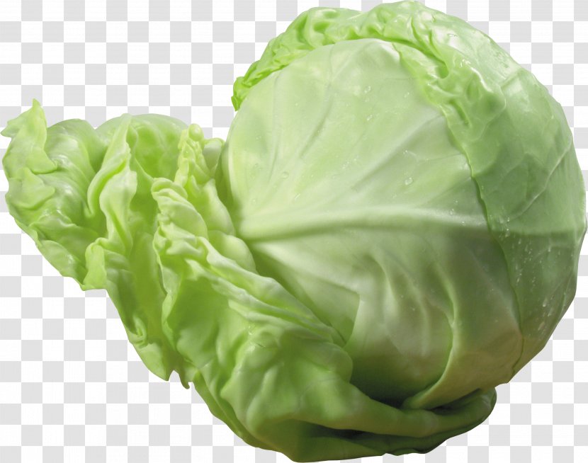 Red Cabbage Cauliflower Vegetable - Image Transparent PNG