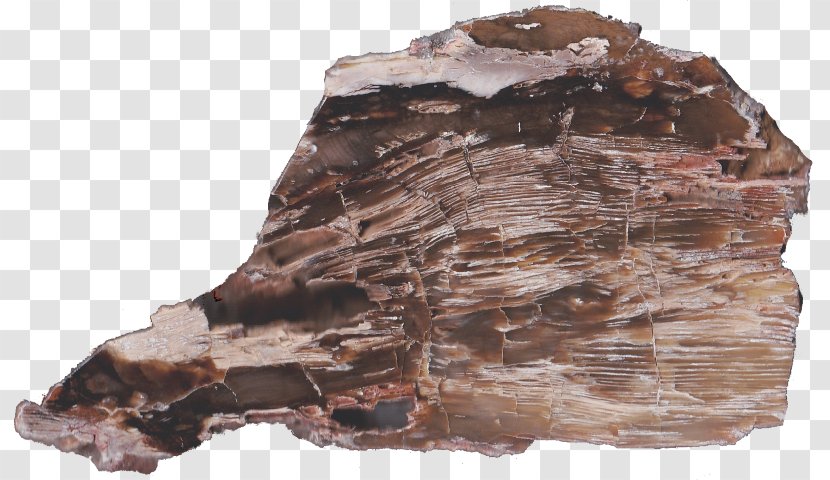 Mineral Outcrop Igneous Rock - Wood Slab Transparent PNG