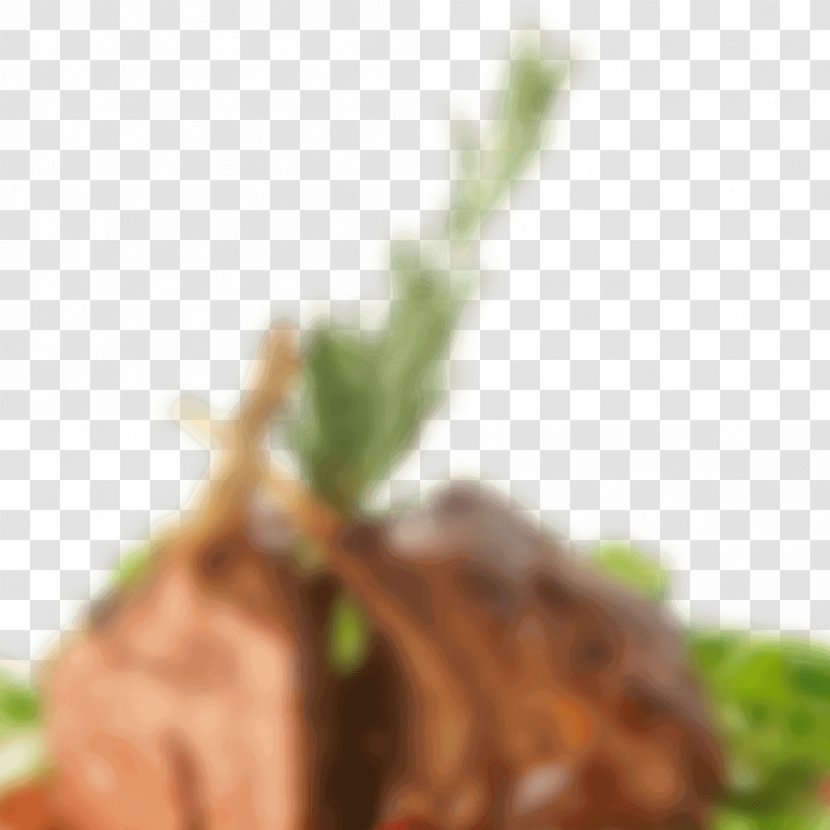 Blog Website Image - Restaurant - Leaf Transparent PNG