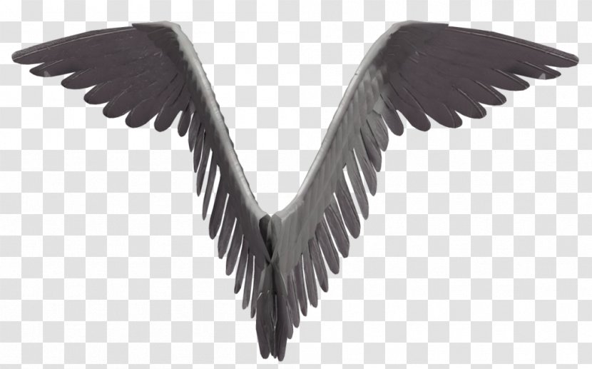 Bird Wing Feather Poser Beak - Angel Wings Transparent PNG