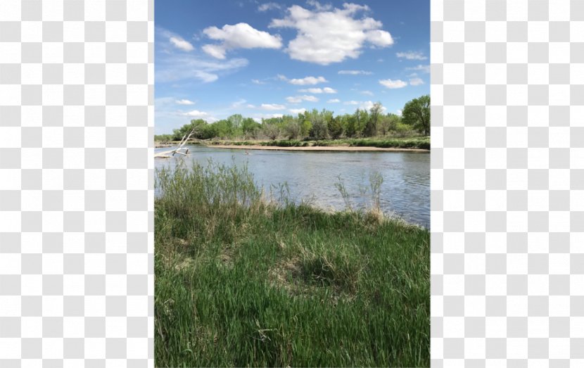 North Platte River Lashley Land And Recreational Brokers Nature Reserve - Dry Transparent PNG