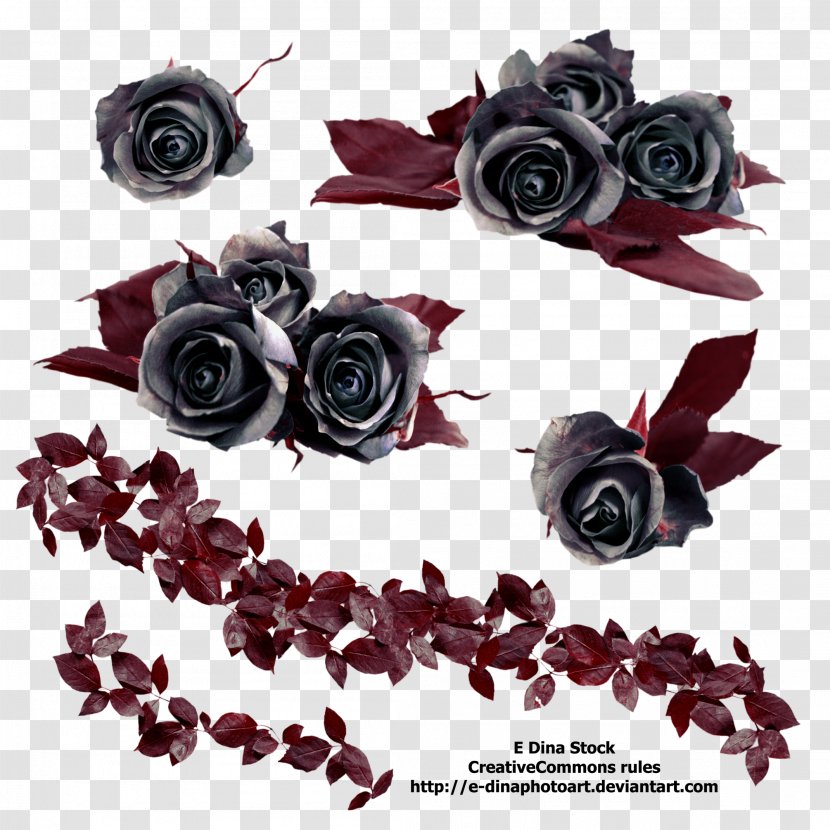 Black Rose Flower Clip Art Transparent PNG